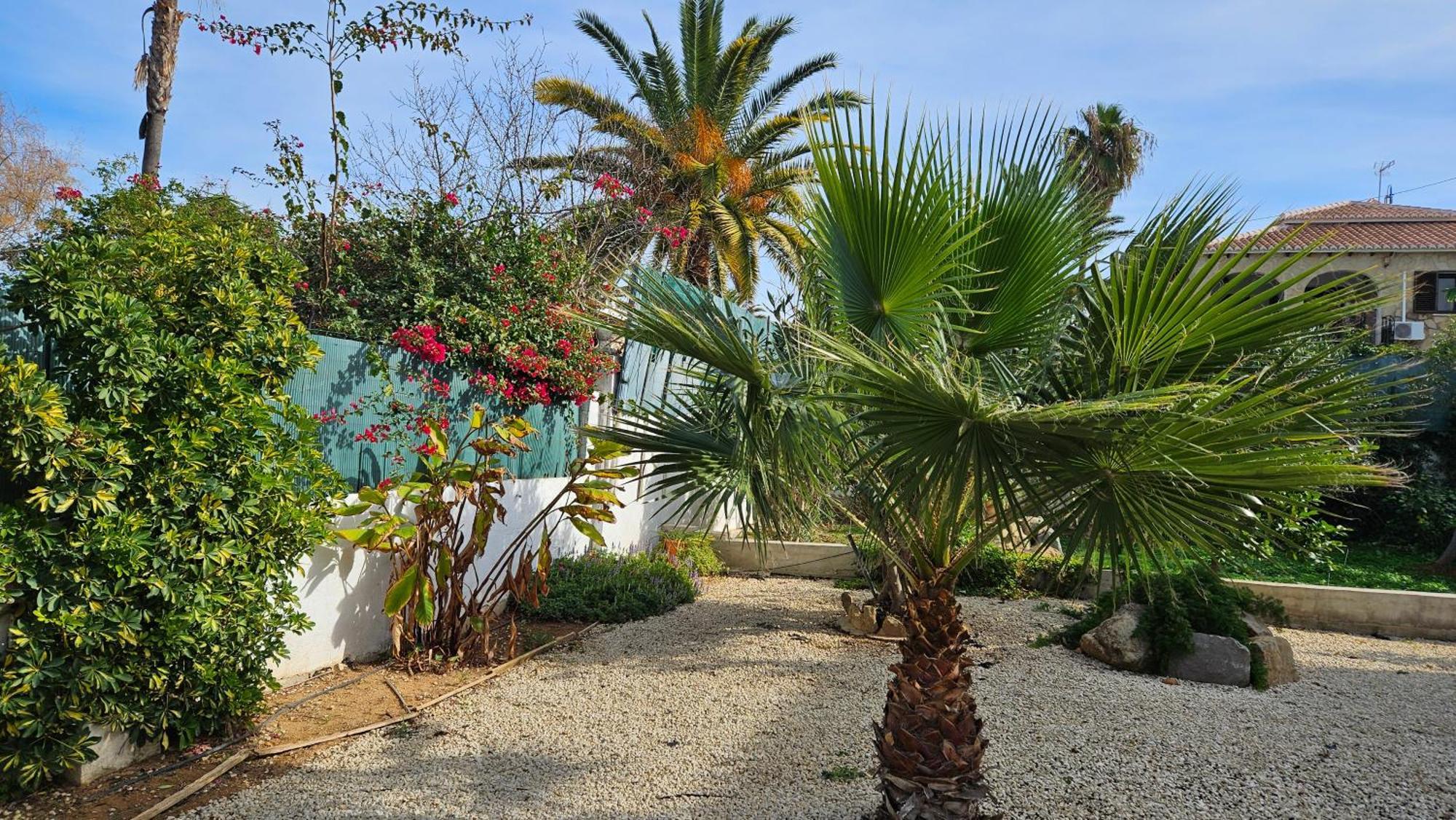 Altomira Villa Denia Exteriör bild