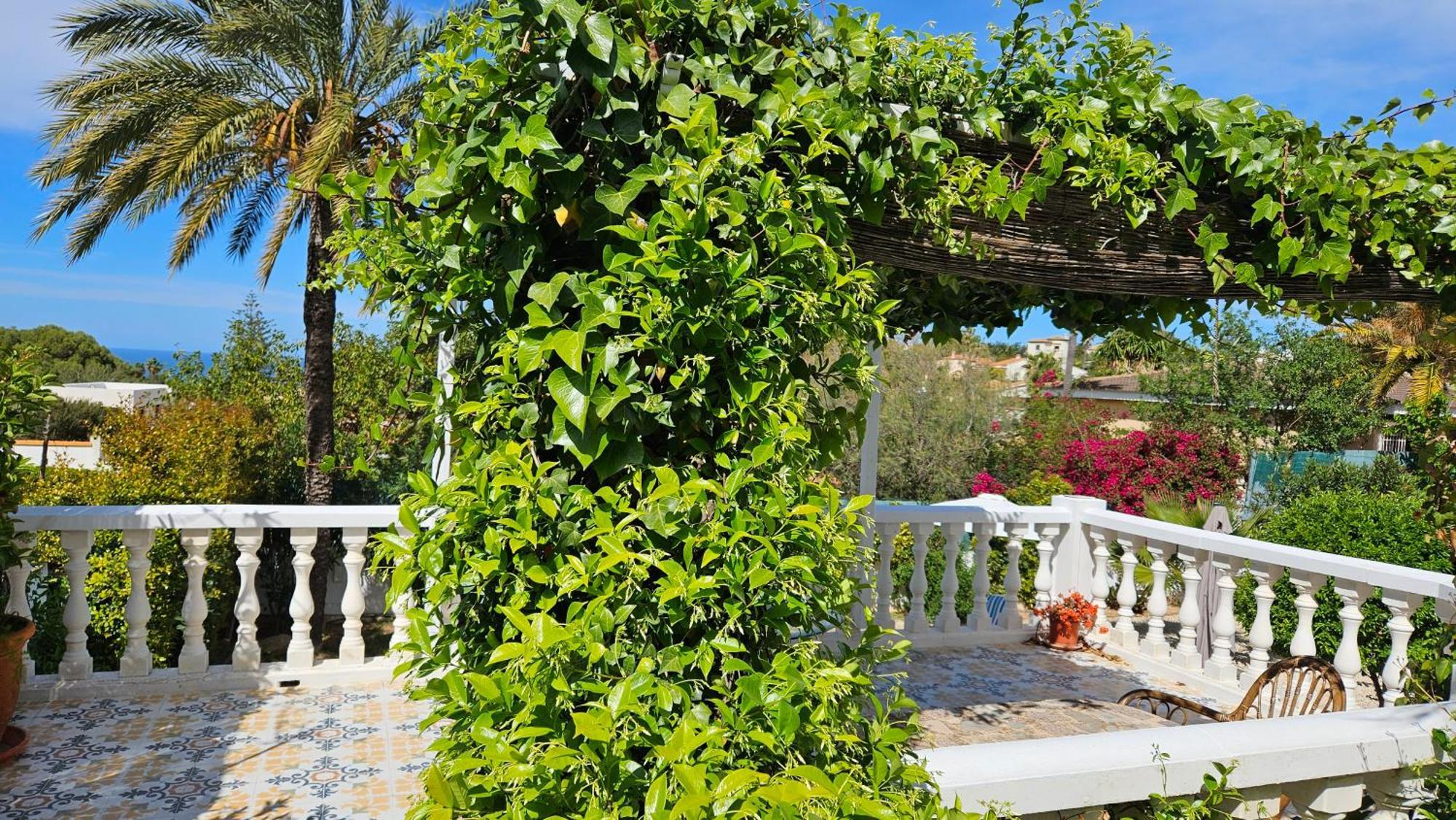 Altomira Villa Denia Exteriör bild